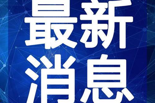 吃瓜群众试吃视频大全最新,带你尝遍人间美味
