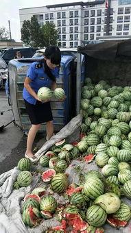 商丘民权吃瓜事件视频,一场引发热议的网络视频风波