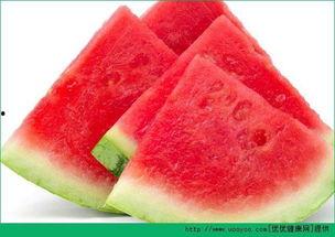 晚间吃瓜会长胖么视频,揭秘吃瓜长胖真相