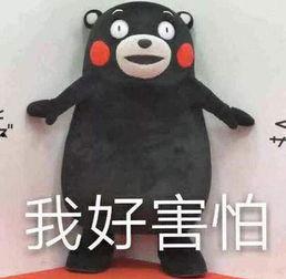 吃瓜大事件原版视频,原版视频深度解析